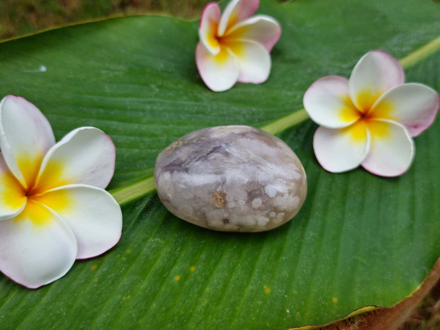 Flower Agate
