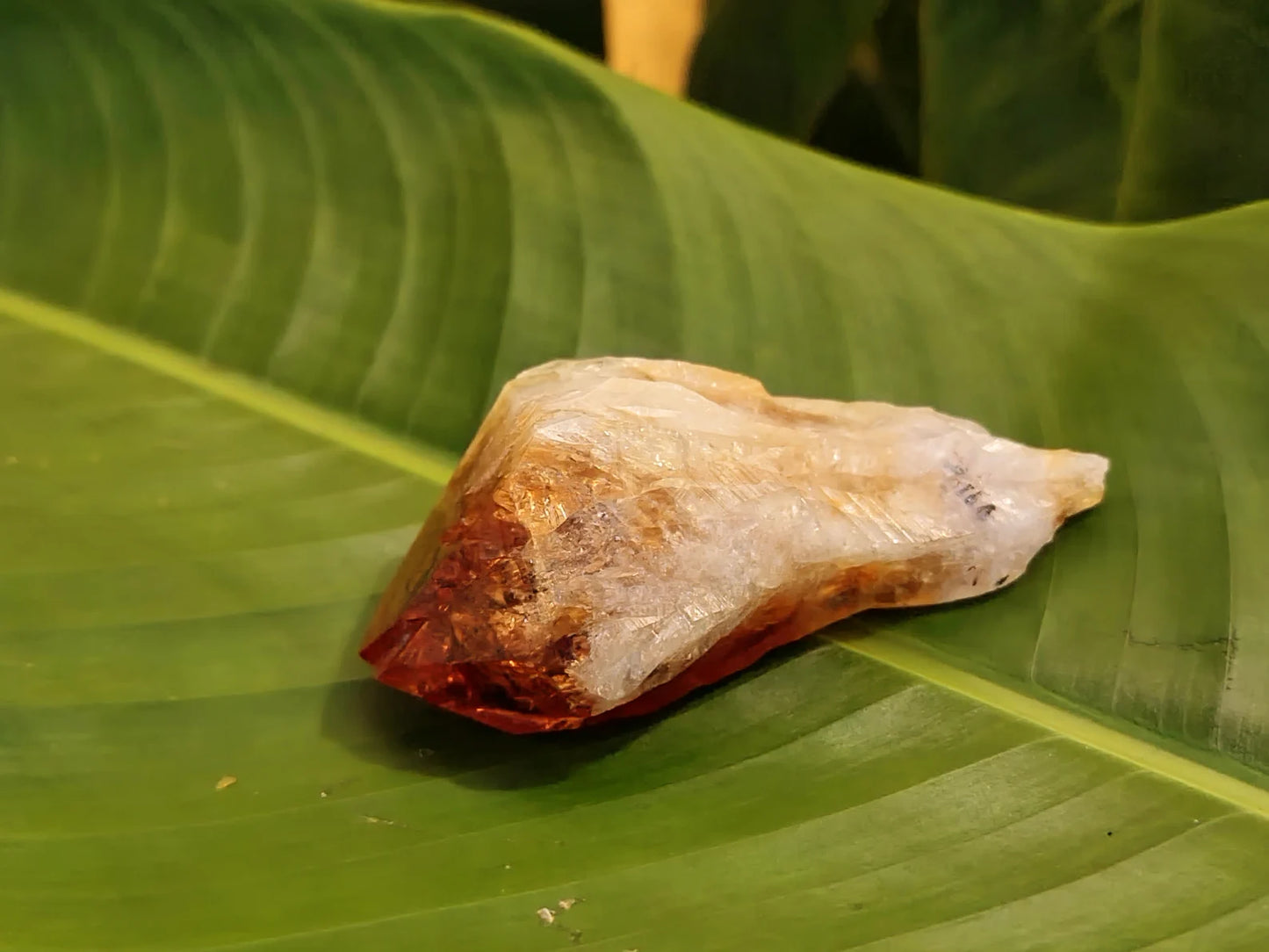 Heat Treated Citrine Point