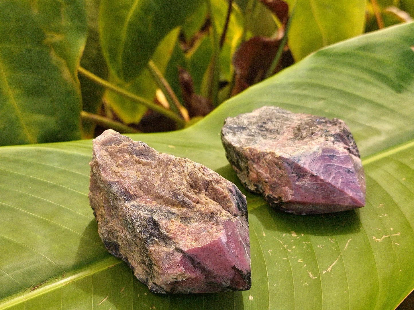 Semi-Polished Rhodonite Point