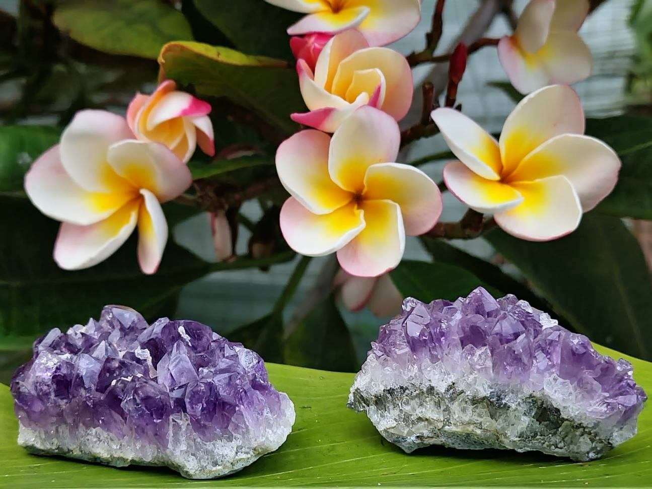 Amethyst Cluster