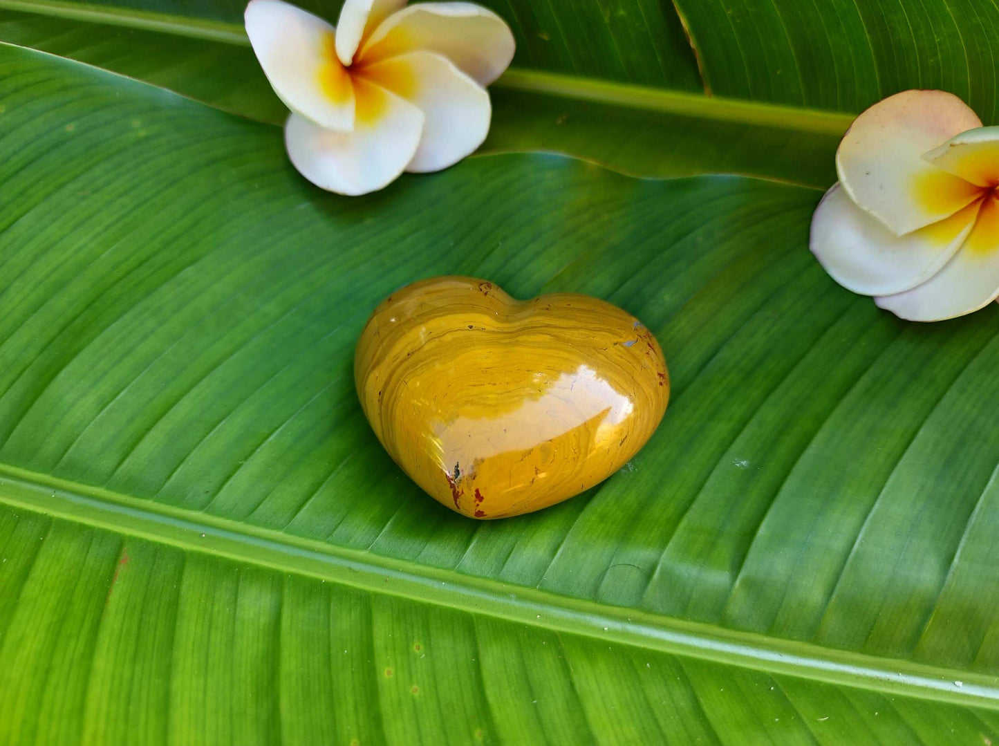 Yellow Jasper
