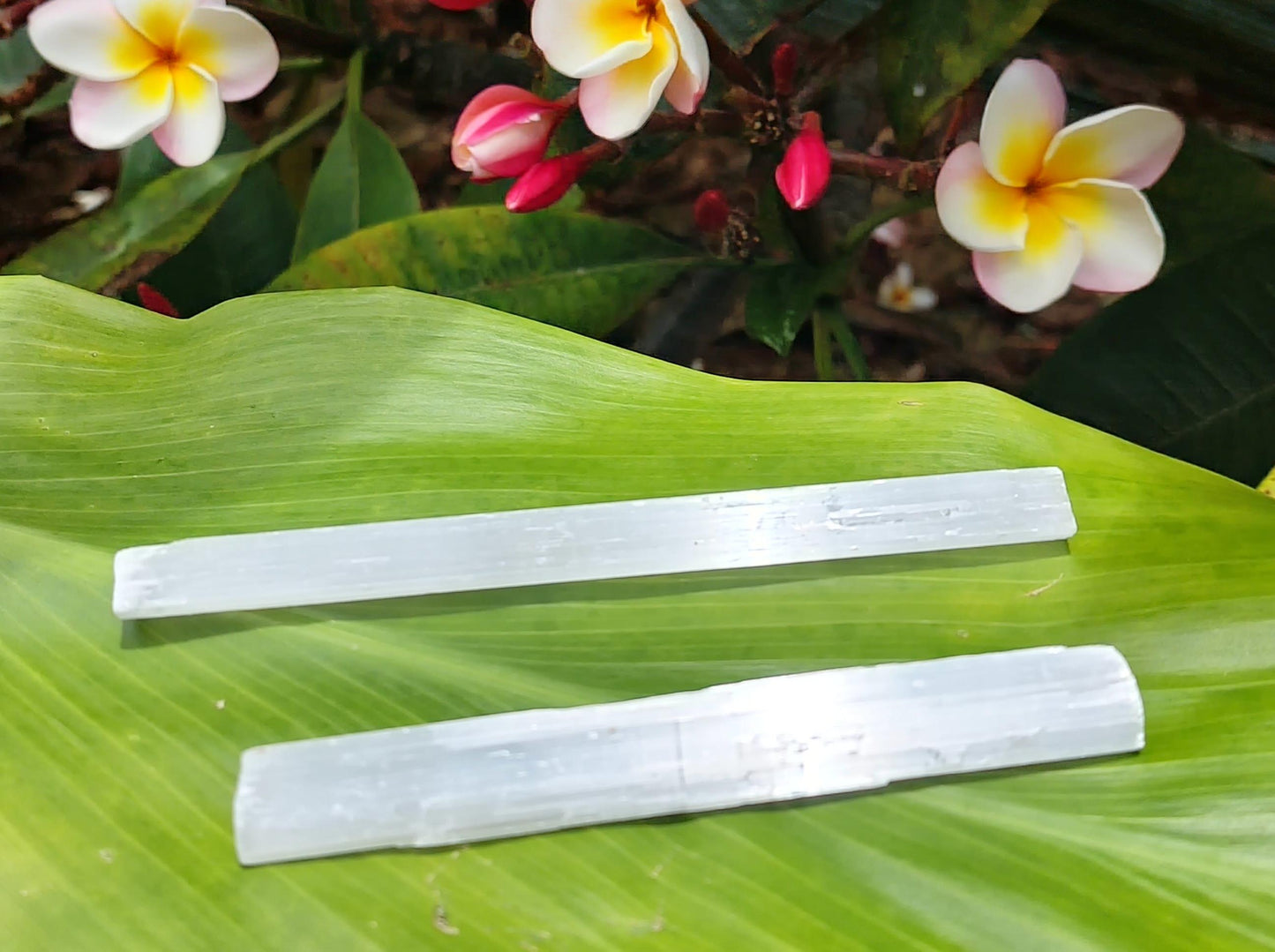 Selenite Wand (5-6 in.)