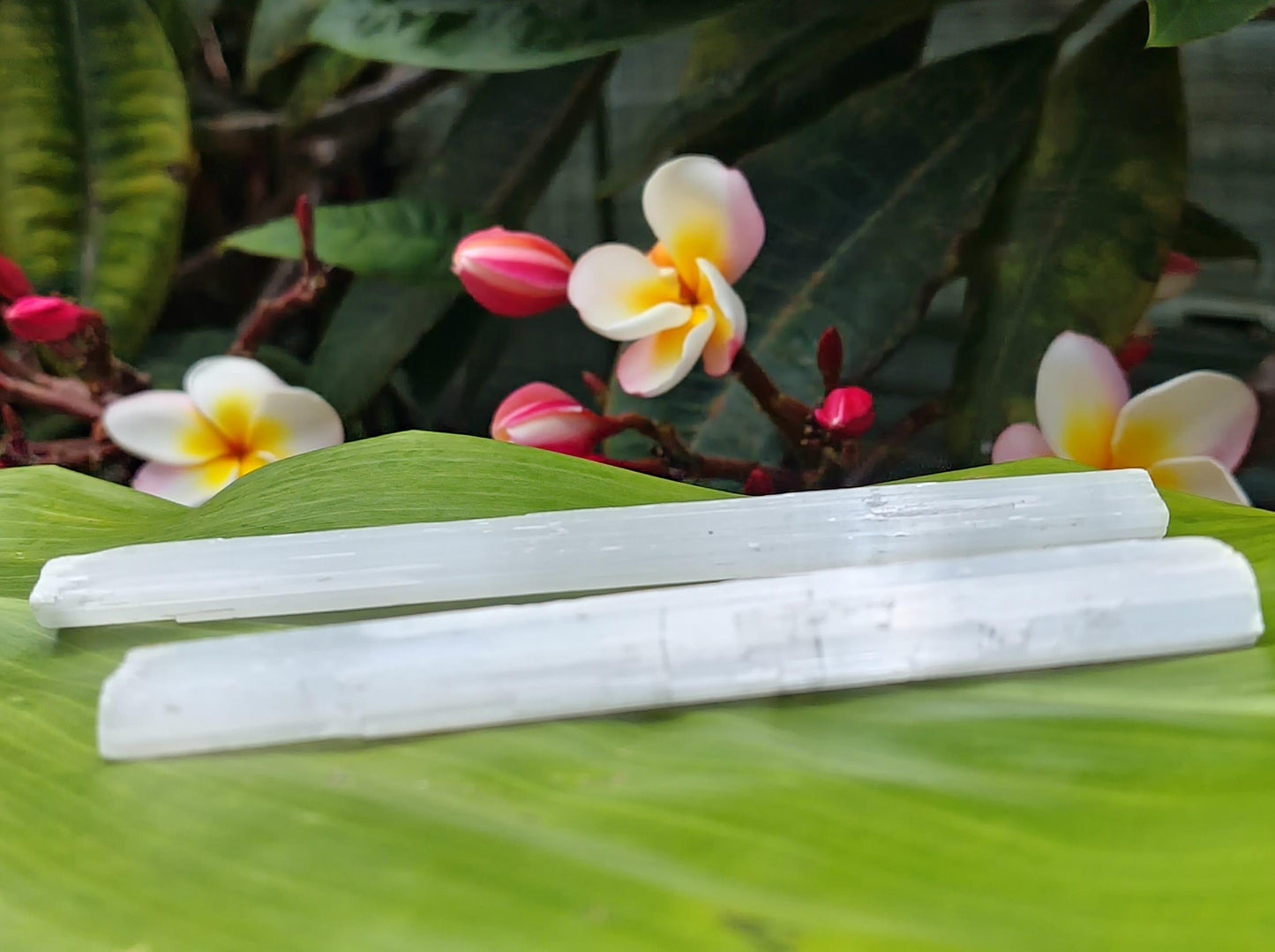 Selenite Wand (5-6 in.)