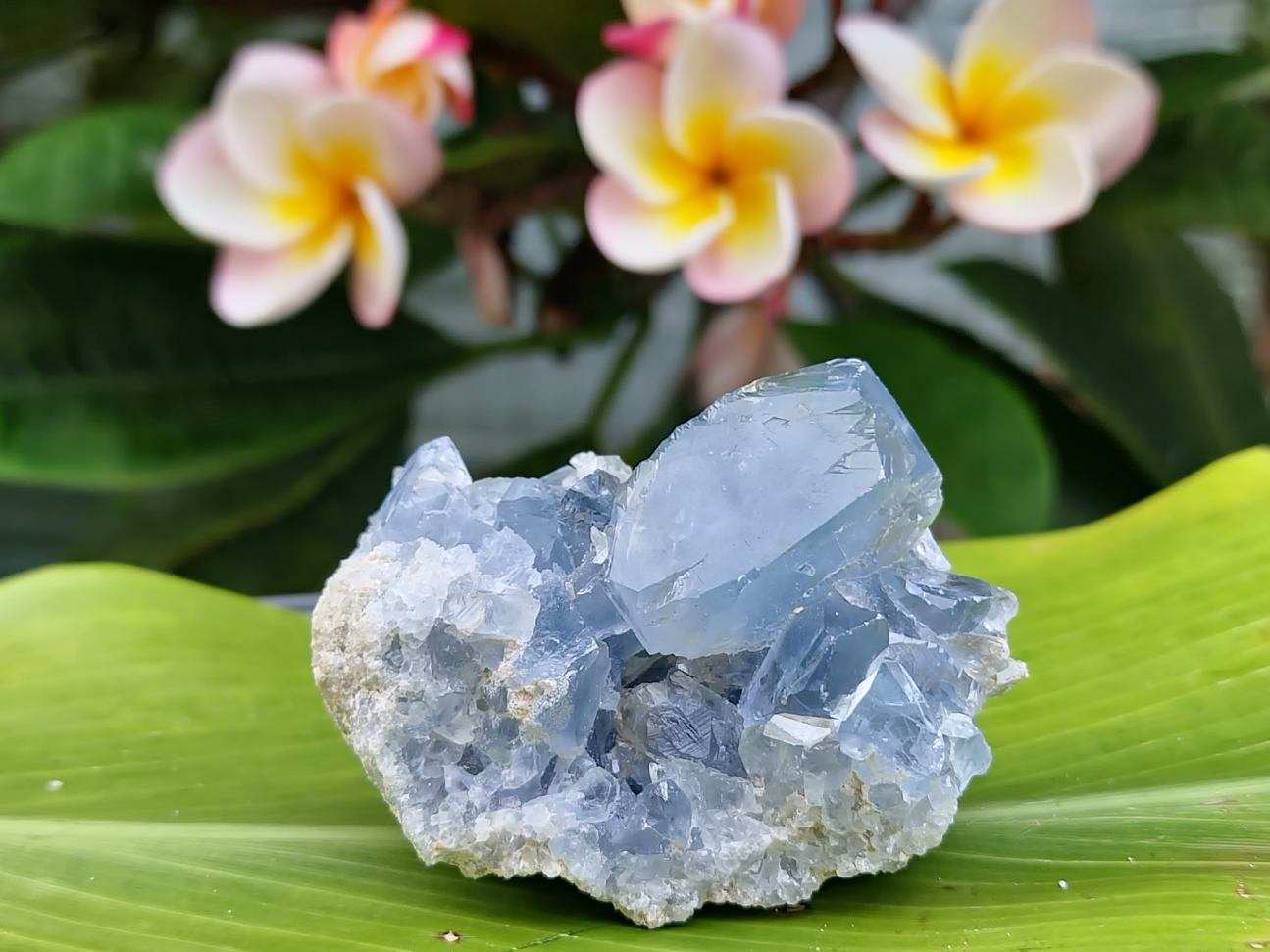 Celestite Cluster