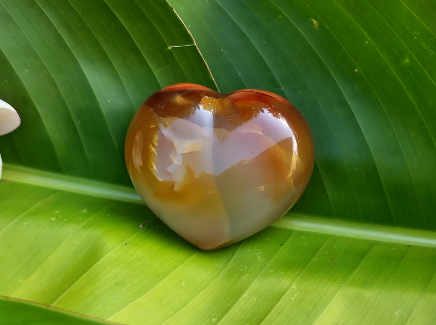 Carnelian Heart
