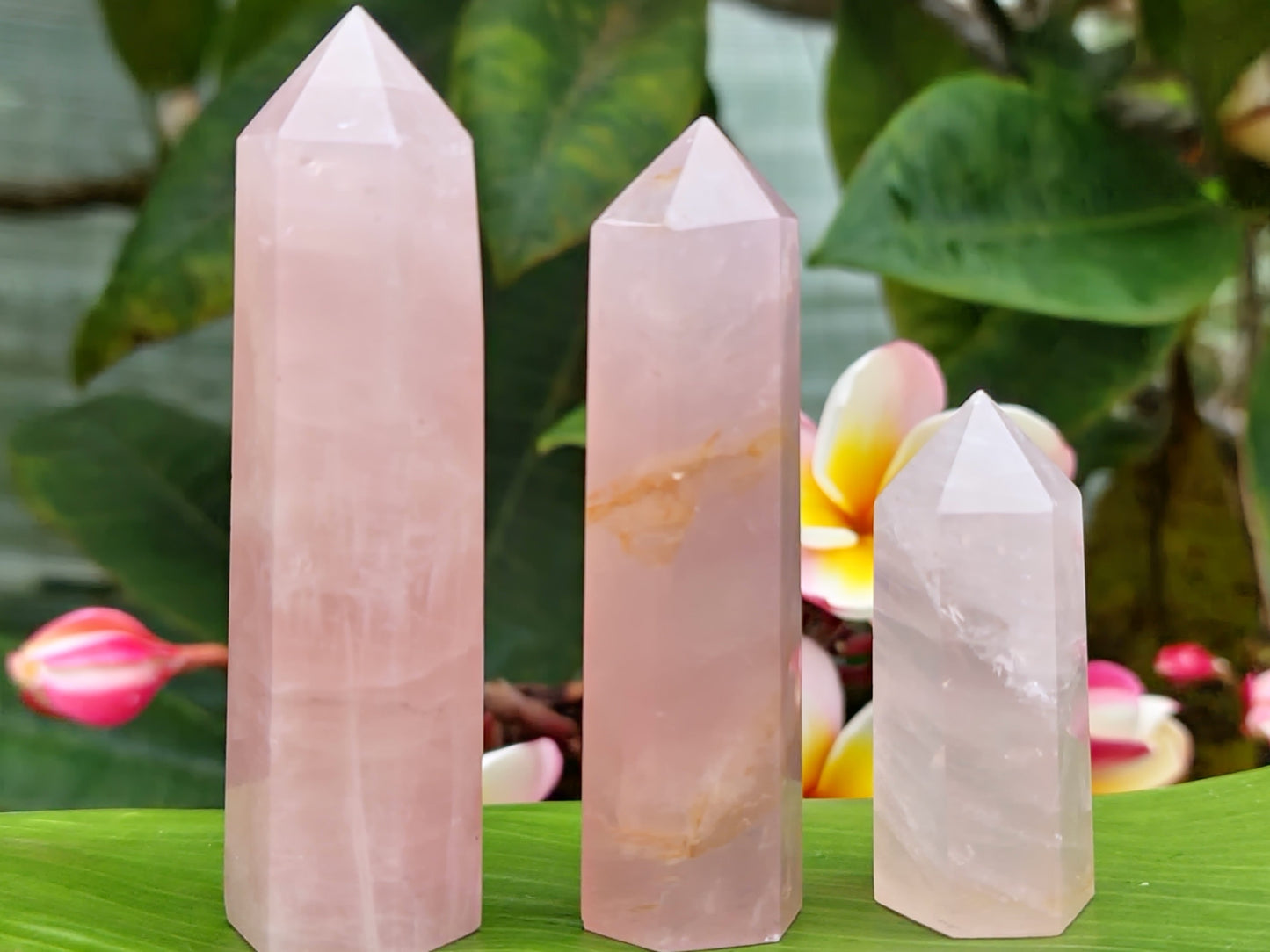 Rose Quartz Point