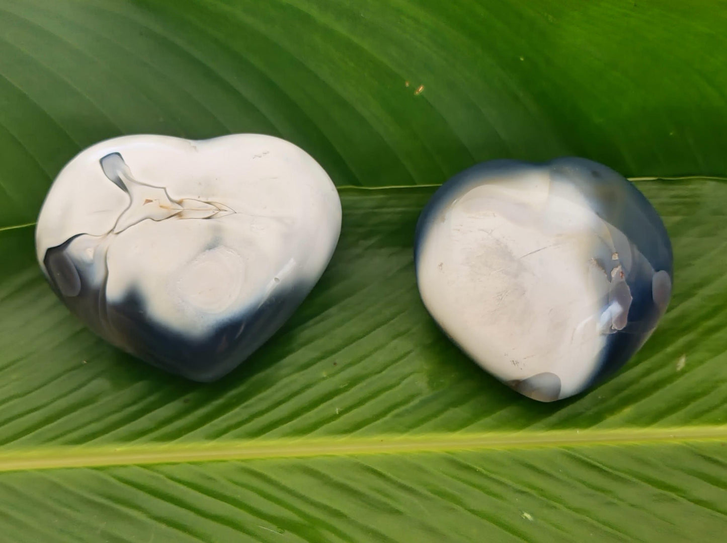 Orca Agate Heart